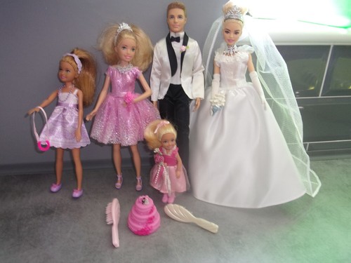 Barbie bride ken groom - bride, with