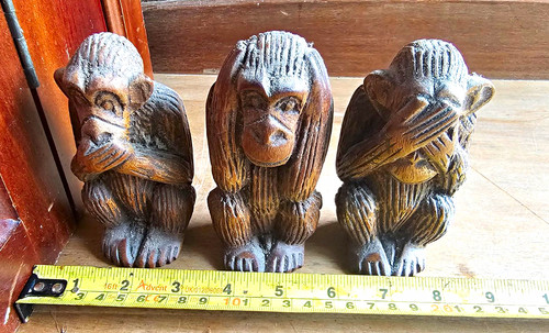 Carved wooden three - wooden, wise