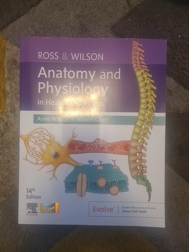 Ross wilson anatomy and - &,