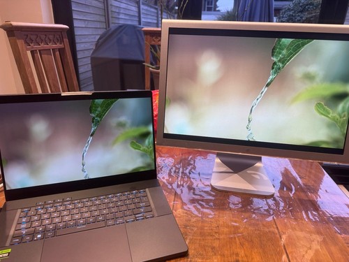 Apple a1081 cinema display - 20",