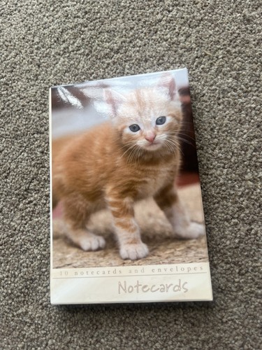 Ginger kitten notecard - ginger, &