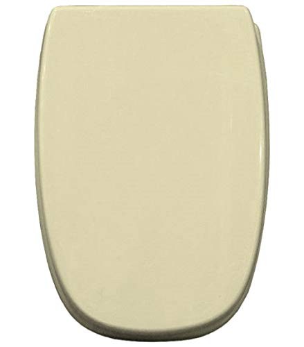 Water cover for toilet - cover, seat