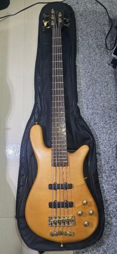 Warwick streamer string - streamer, lx