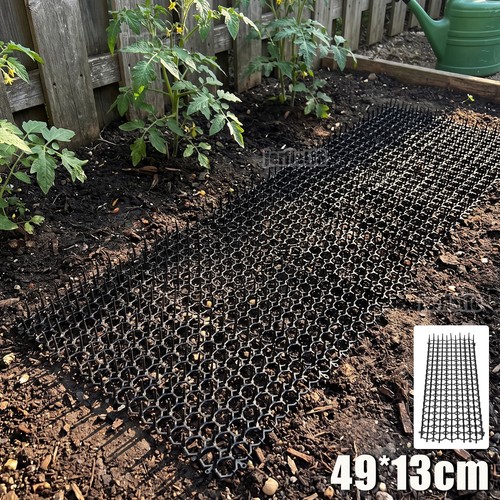 100 pack cat scat mat - pack,