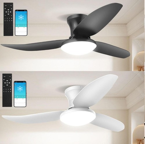 Large speed led ceiling - large,