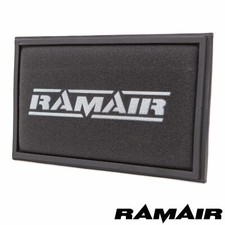 RAMAIR Air Panel Filter for