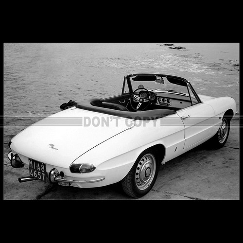 Photo 013804 alfa romeo - a.013804,