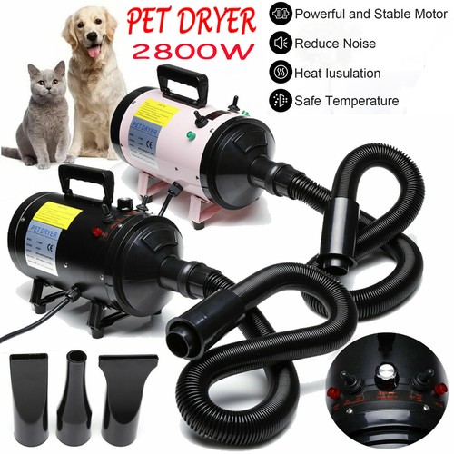 2800w dog hair dryer - dog, high