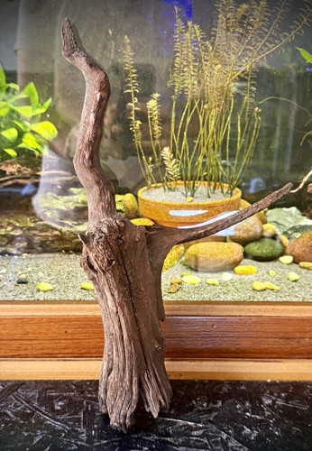 Aquarium driftwood 30cm - 30cm, tall