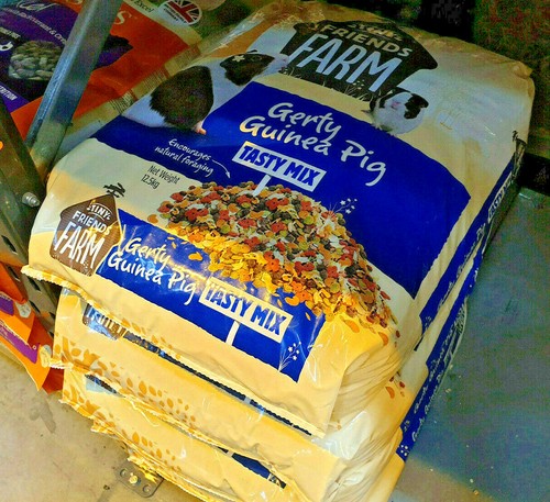 Gerty guinea pig tasty mix - pig,