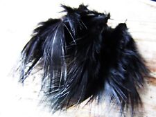 IFS Bleached Golden Pheasant Rump - Dyed Black GP Shrimp