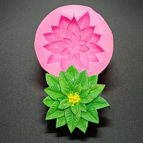 Poinsettia christmas flowers - poinsettia,