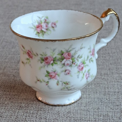Paragon victoriana rose - ",