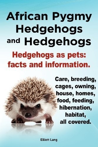 African pygmy hedgehogs and - hedgehogs,