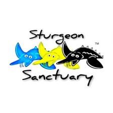 Sturgeon Sanctuary (Food 6mm)