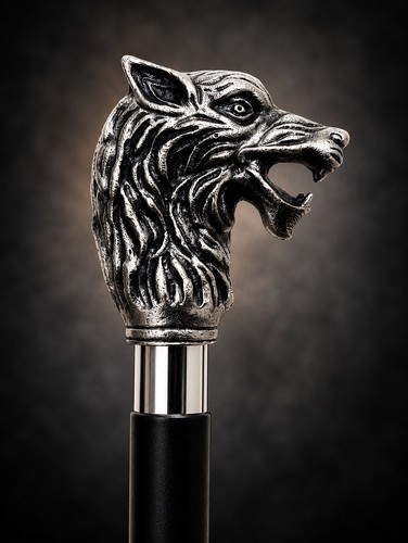 Wolf head walking - wolf,