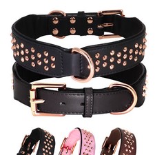 Leather Rivet Studded Dog