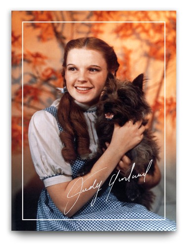 Judy garland signed - judy, the
