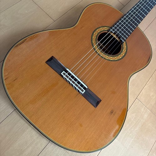 Takamine vintage - takamine,