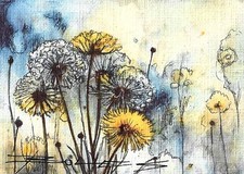 ORIGINAL Hand Painted Pen and Watercolor (ACEO) Dandelions