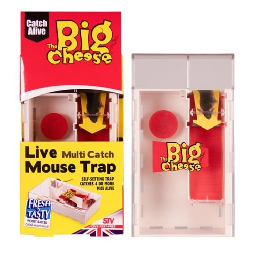 The big cheese live - the,