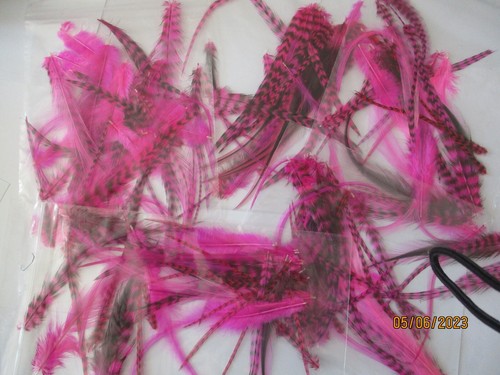 Pink magenta mixed cock - magenta, neck