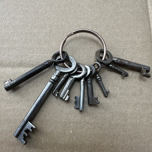 Keys steel a key ring - x9, on