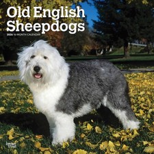 Old English Sheepdogs Calendar