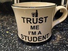 MOORLAND POTTERY MUG -  TRUST ME I`M A STUDENT