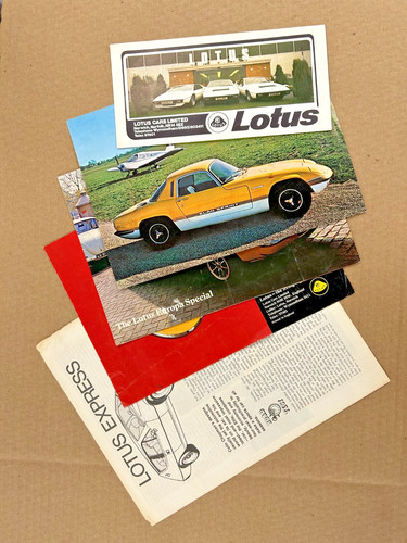 Vintage genuine lotus - vintage,