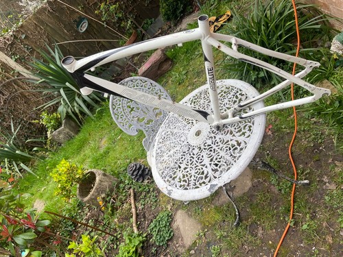 Raleigh airlite 100 - 100, -20”