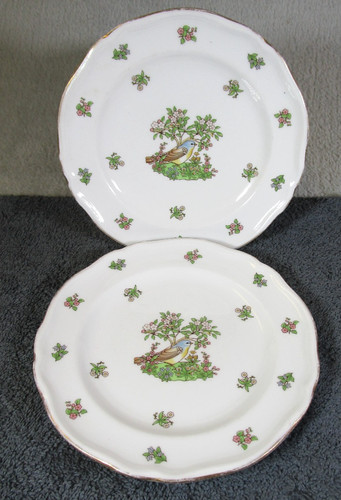 Lovely vintage spode china - 2,