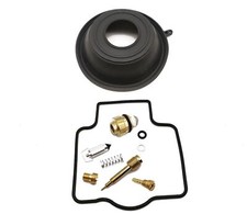 Carburetor Repair Kit with