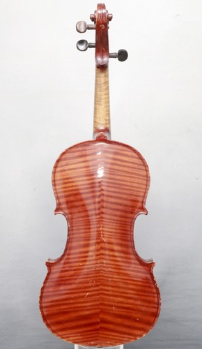 Old european violin - old,