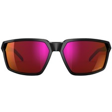 Wiley X WX SIERRA Glasses