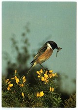 1970s J Arthur Dixon Familiar