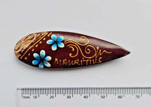 Mauritius wooden surfboard