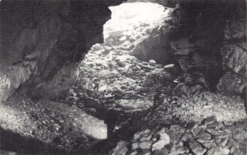 GA~GEORGIA~BARTOW