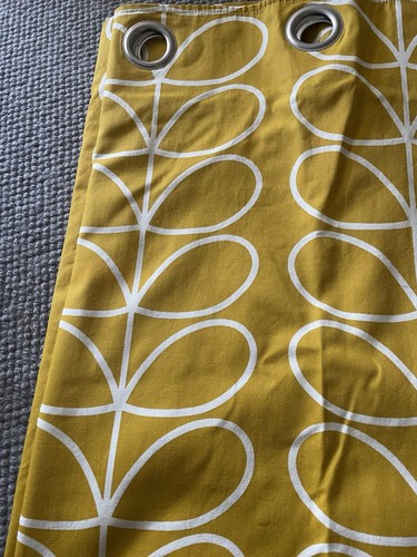 Orla keily yellow - linear, stem