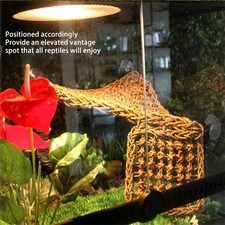 _Lizard Hammock Animal