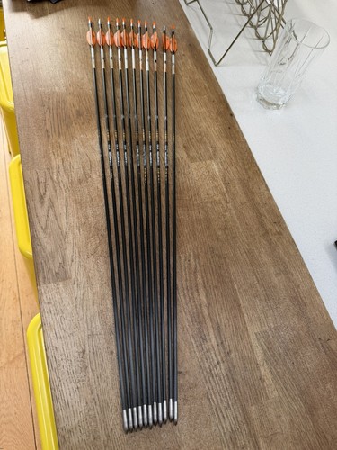 Easton x10 protour arrows - easton, 520