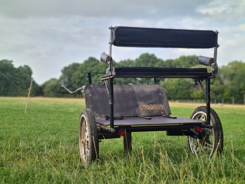Two wheeled pony - pony, horse