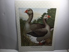 Poster Toulouse Geese, Winners