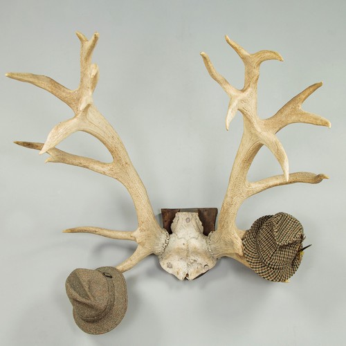 Very large set mounted - large, of