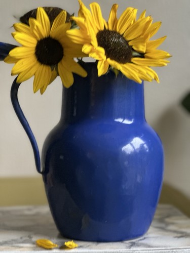 Vintage french enamel jug 24cm - vintage,