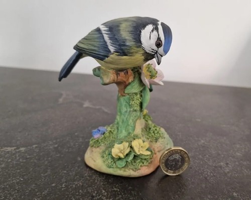Crown staffs bluetit - crown,