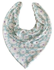 Adult Dribble Bib Special