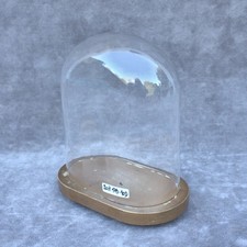 Vintage oval glass cloche dome