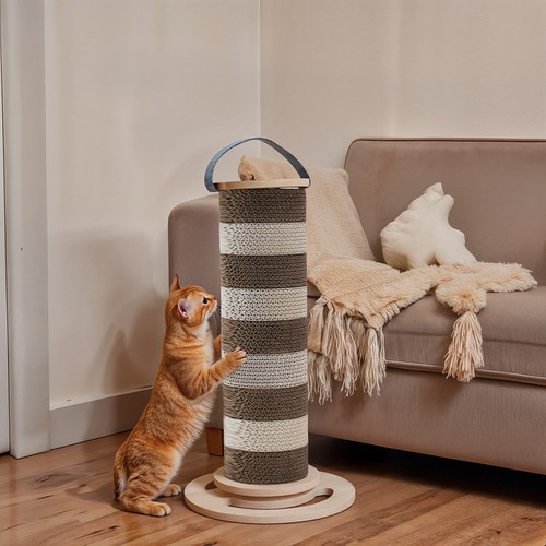 Large tall cat - tall,