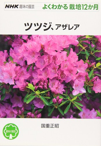 Azalea nhk - (nhk, hobby